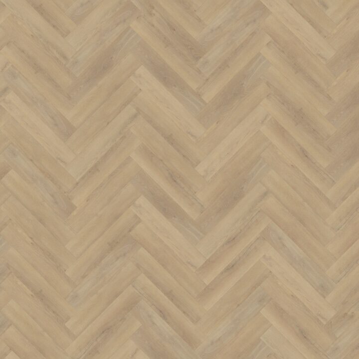 Palazzo Visgraat XL 72