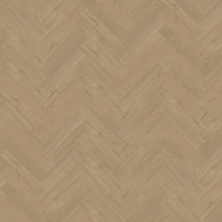 Portico Visgraat XL 54