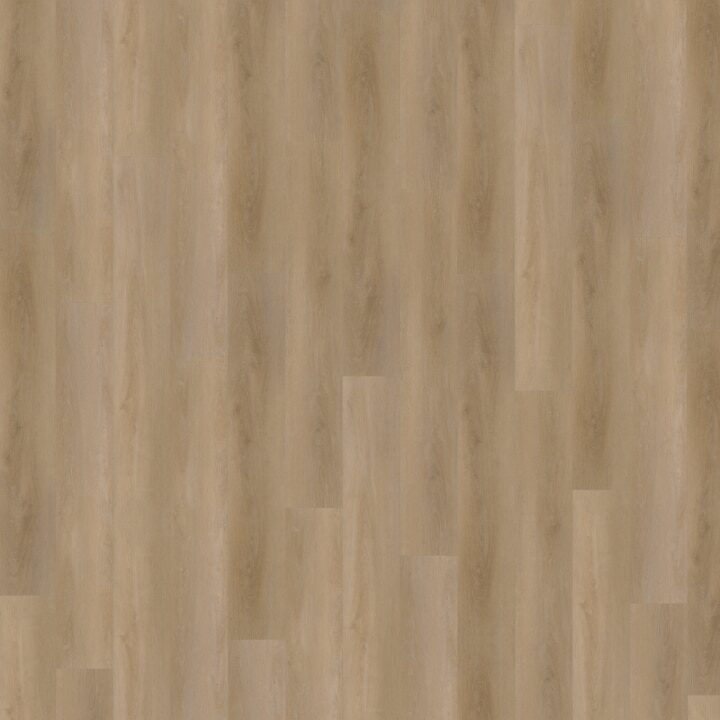 Attico Rechte Plank 810