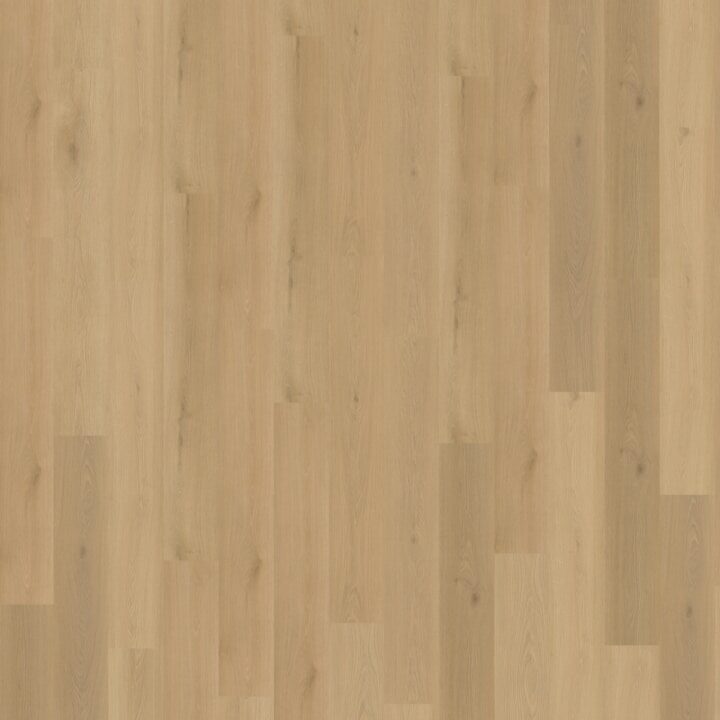 Borgo Rechte Plank 300