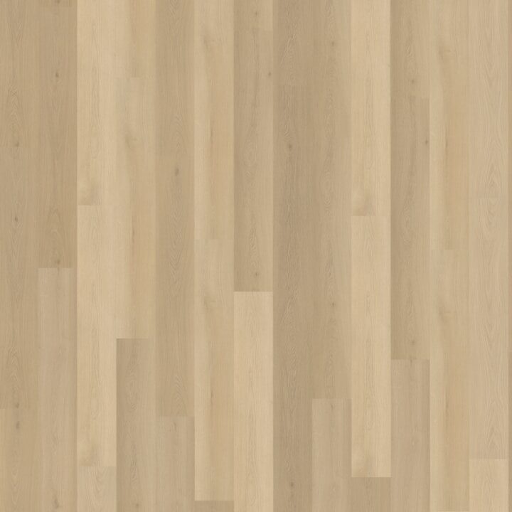 Borgo Rechte Plank 310