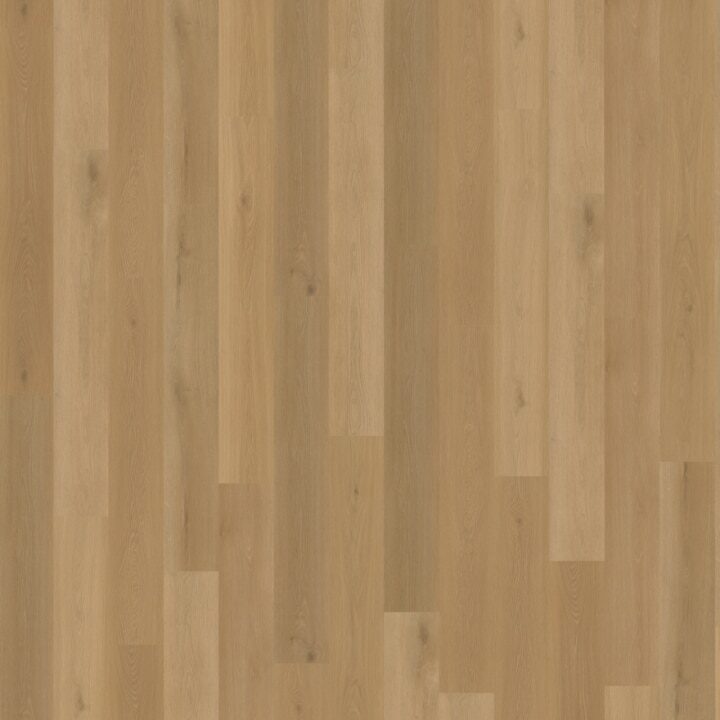 Borgo Rechte Plank 320