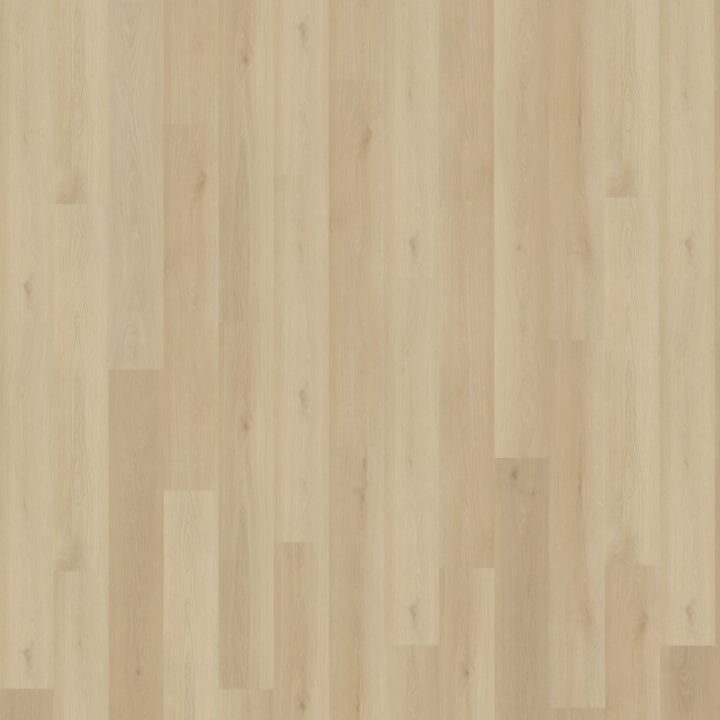 Borgo Rechte Plank 330