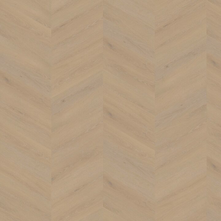 Cervo Hongaarse Punt 20