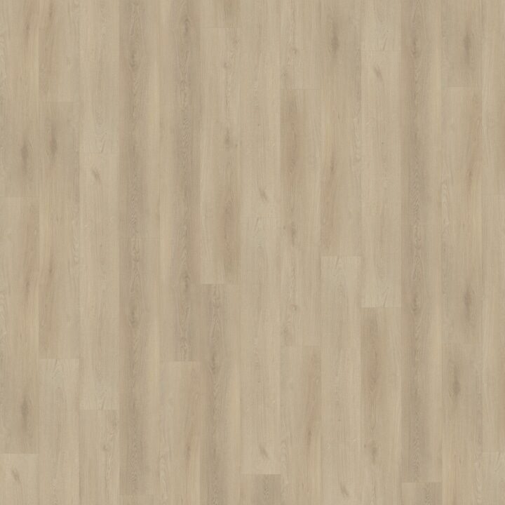 Palazzo Rechte Plank 730