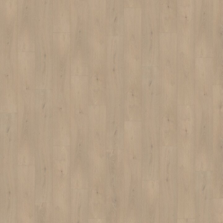 Palazzo Rechte Plank 740