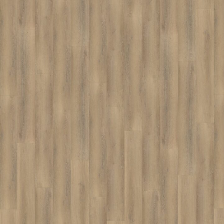 Palazzo Rechte Plank 760