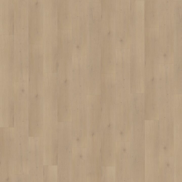 Palazzo Rechte Plank 770