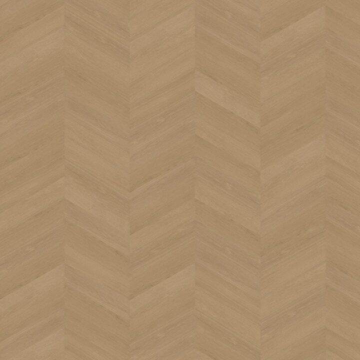 Futuro Hongaarse Punt 50