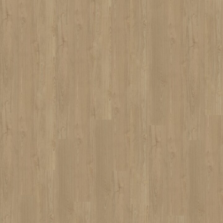 Portico Rechte Plank 540