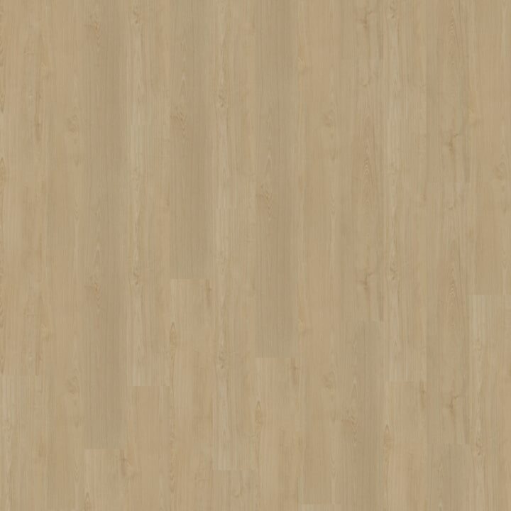 Portico Rechte Plank 550