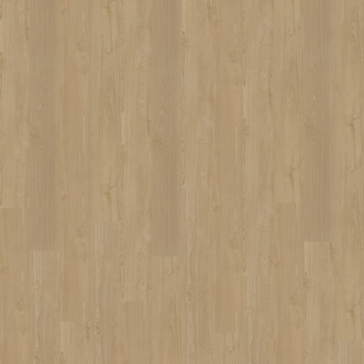 Portico Rechte Plank 560