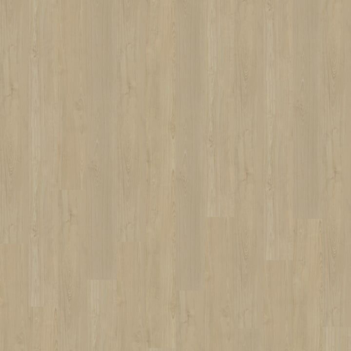 Portico Rechte Plank 570