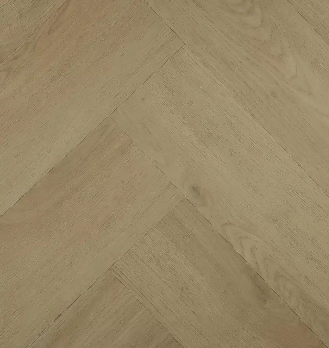 Chablis Visgraat 77854