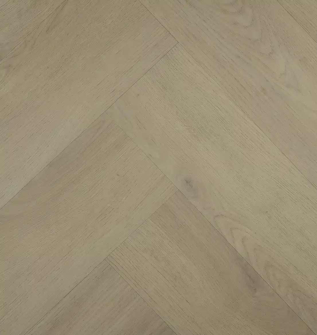 Chablis Visgraat 77855