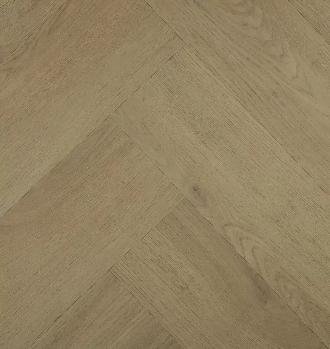 Chablis Visgraat 77856