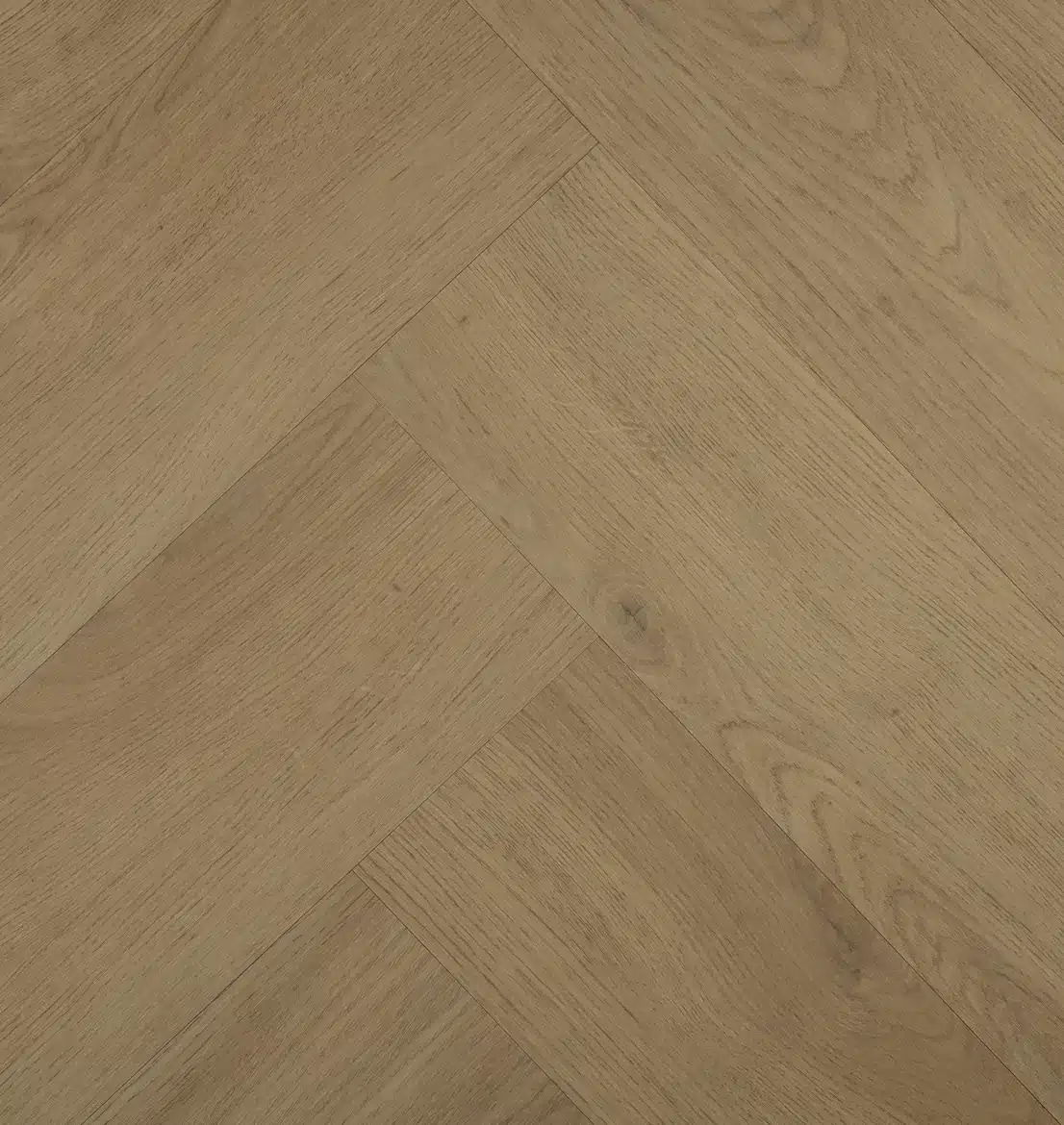 Chablis Visgraat 77857