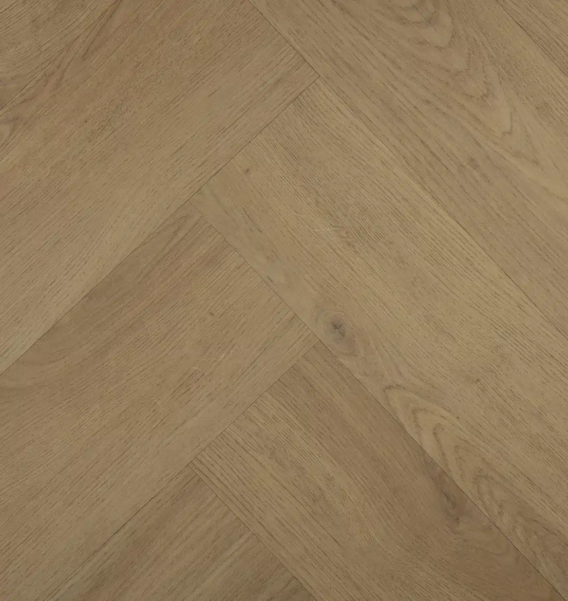 Chablis Visgraat 77858