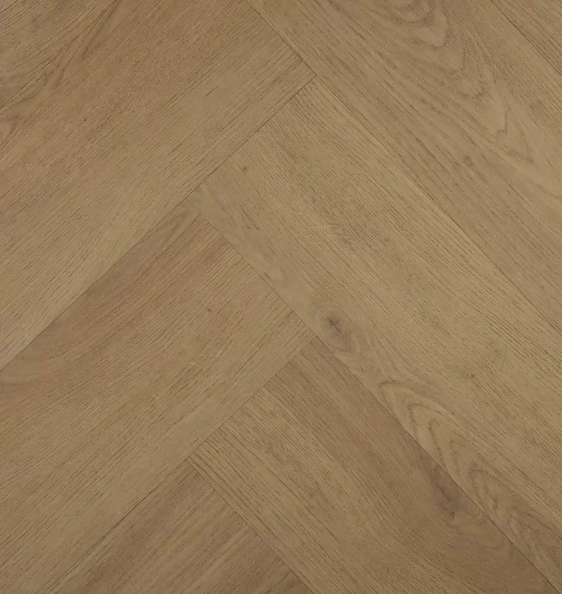 Chablis Visgraat 77859