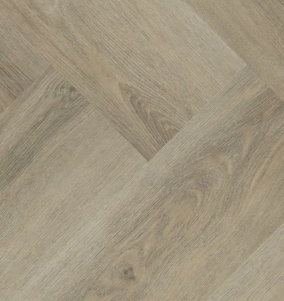 Charente Visgraat XL 7745