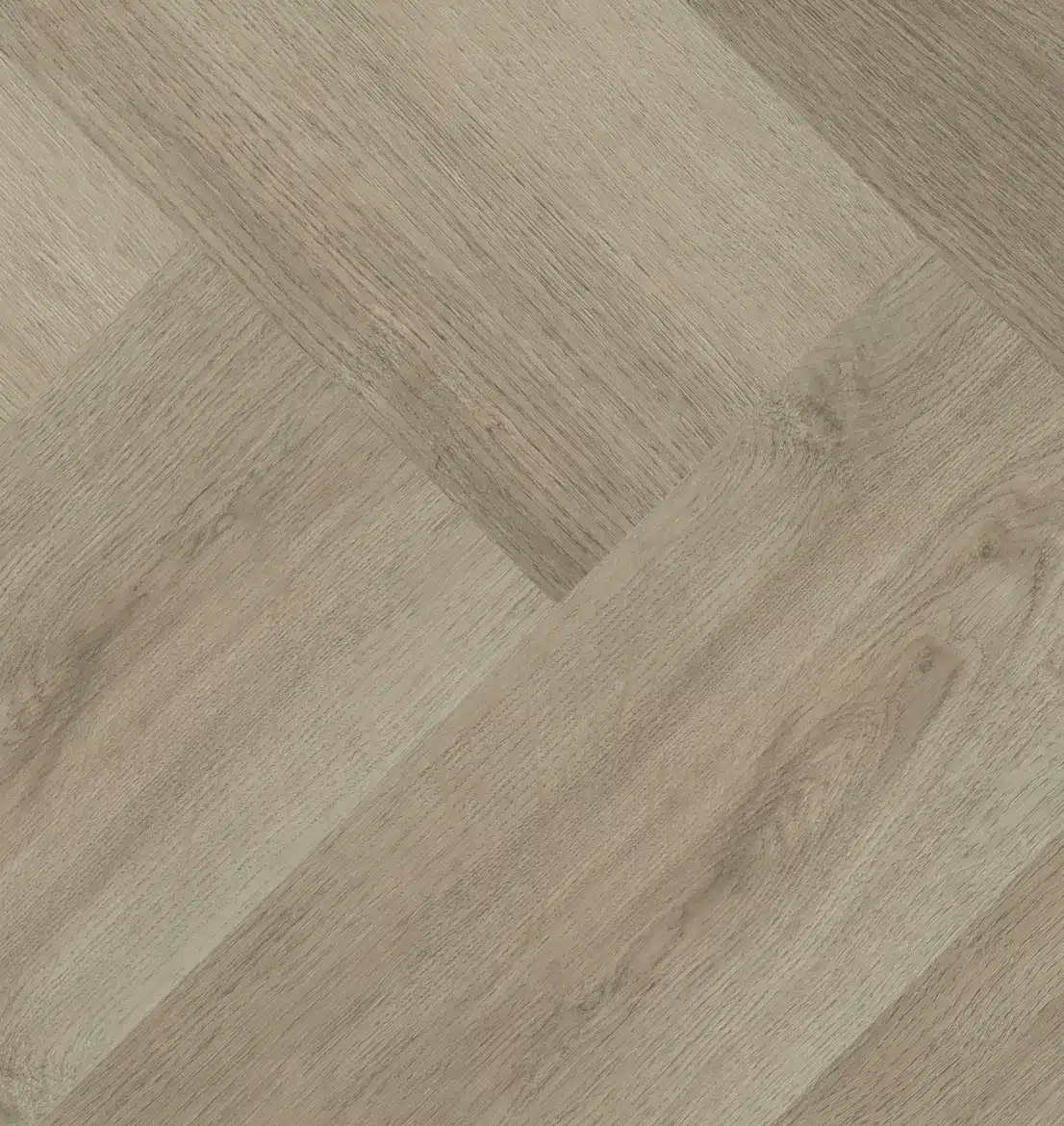 Charente Visgraat XL 7747