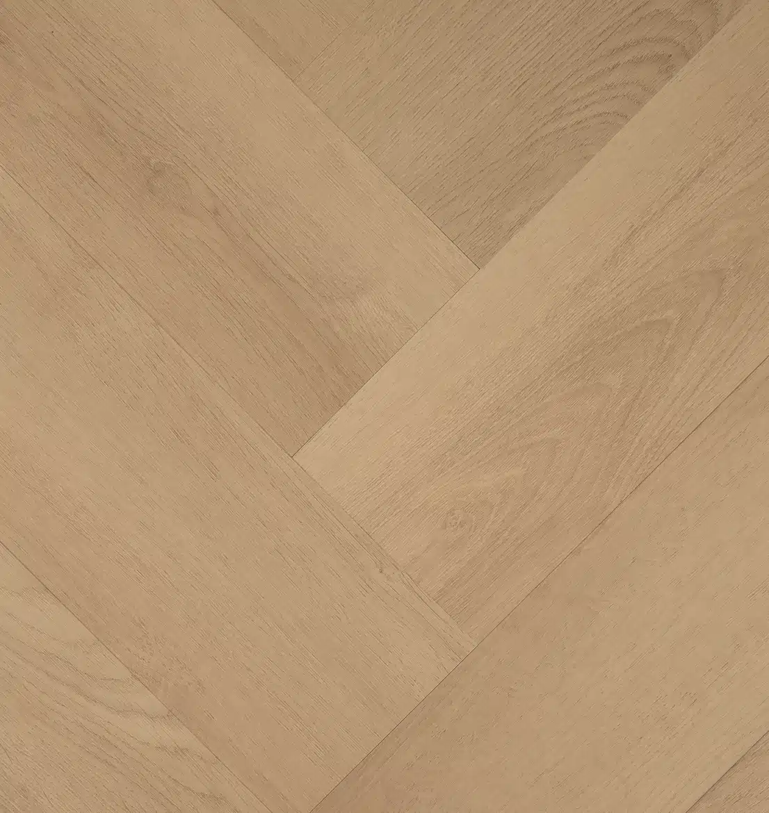 Clermont Visgraat 77820