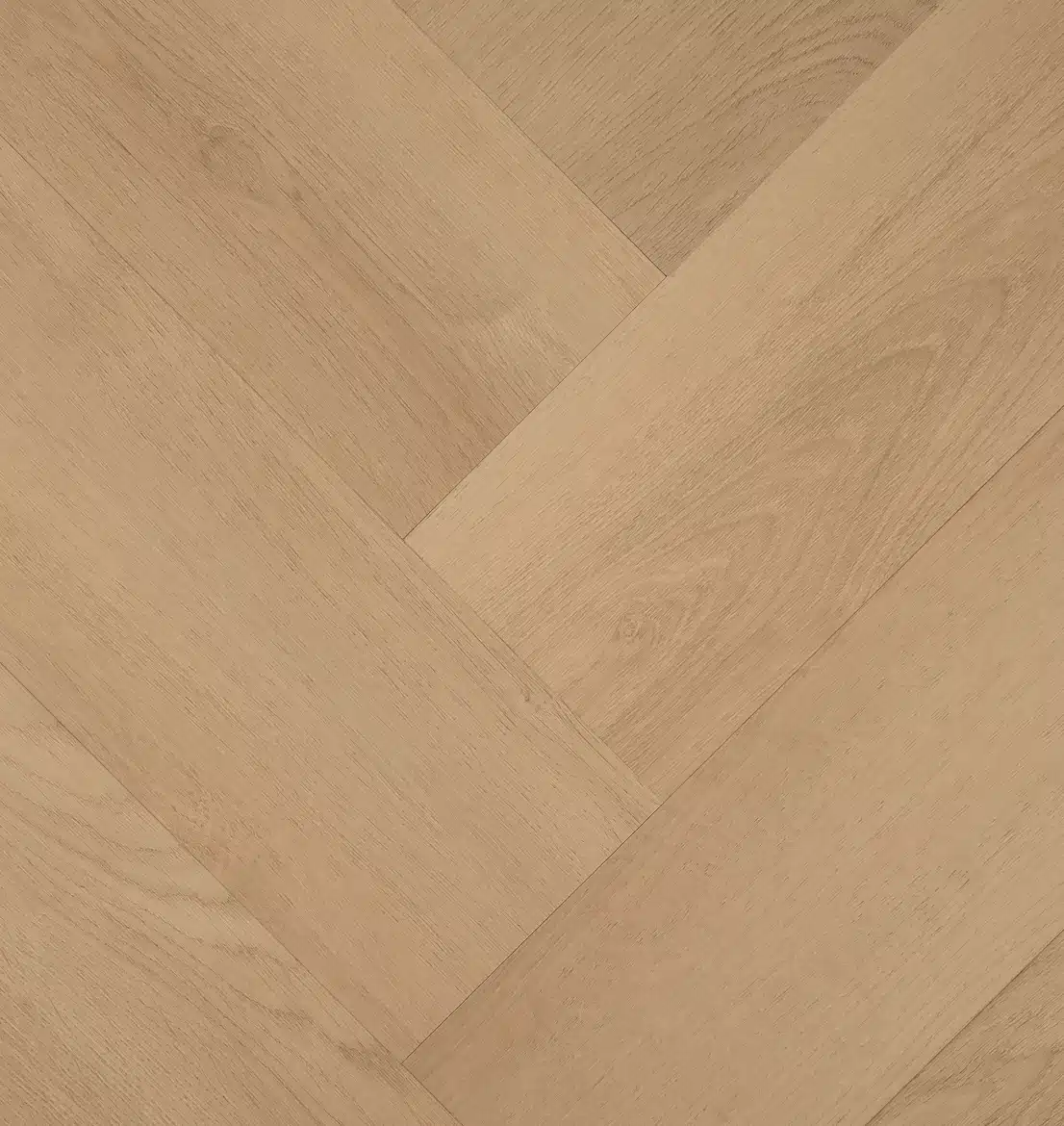 Clermont Visgraat 77821