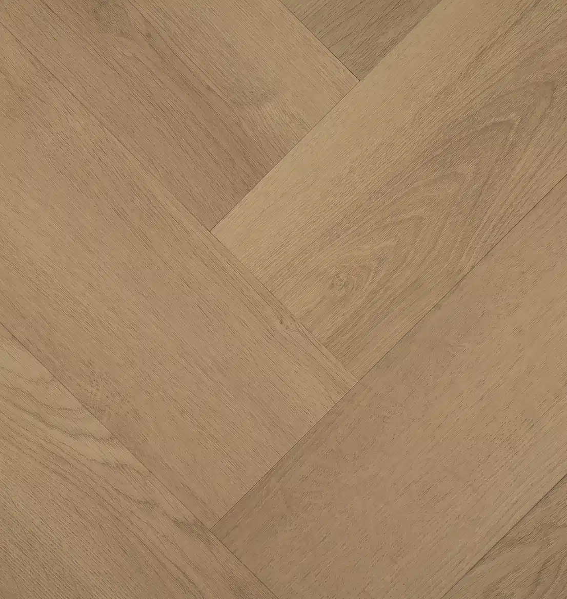 Clermont Visgraat 77822