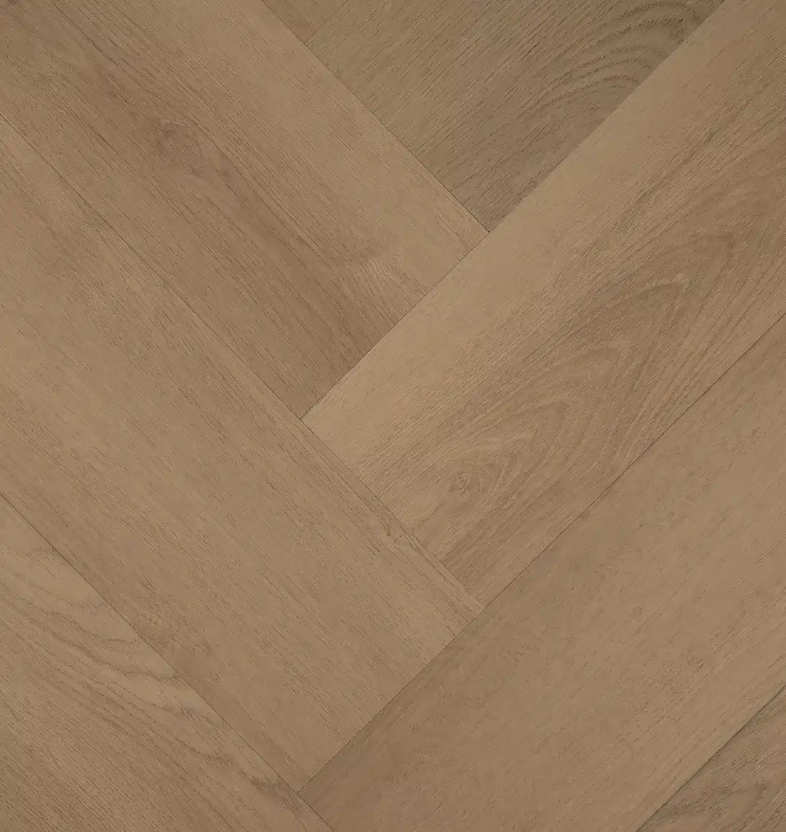 Clermont Visgraat 77824