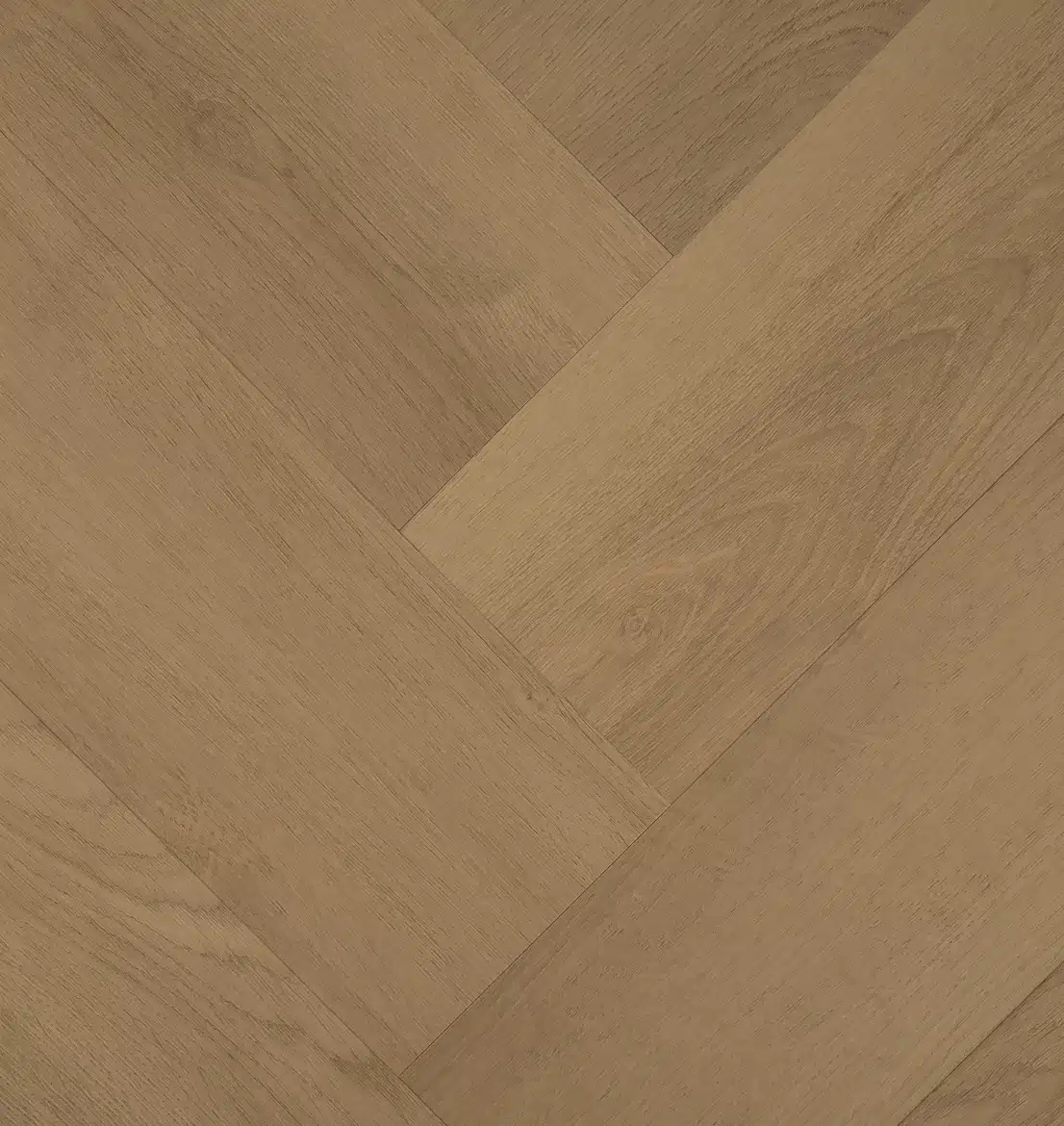 Clermont Visgraat 77825