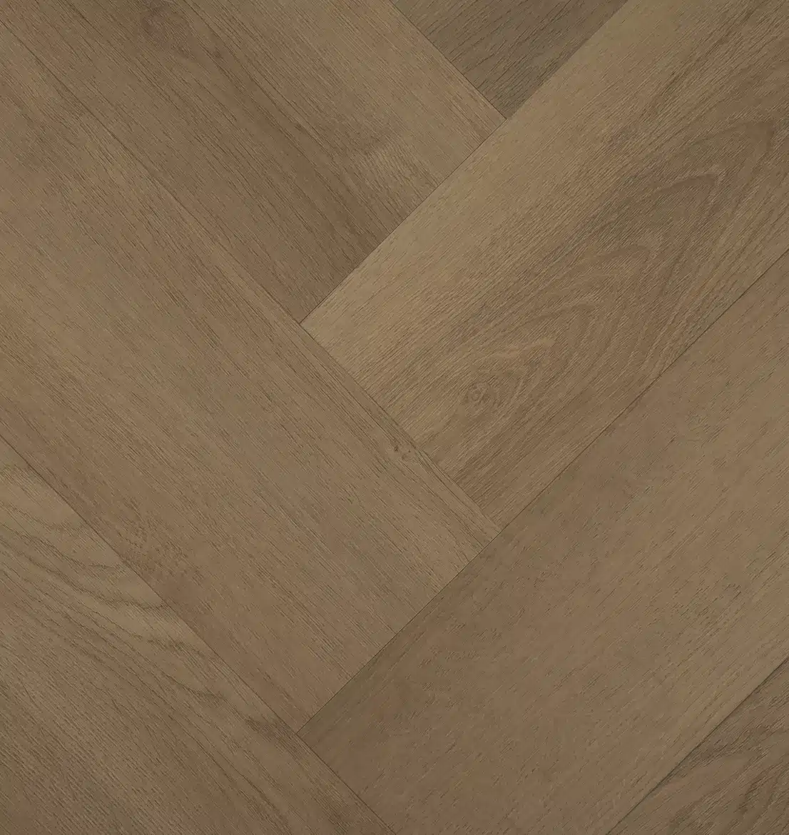 Clermont Visgraat 77826