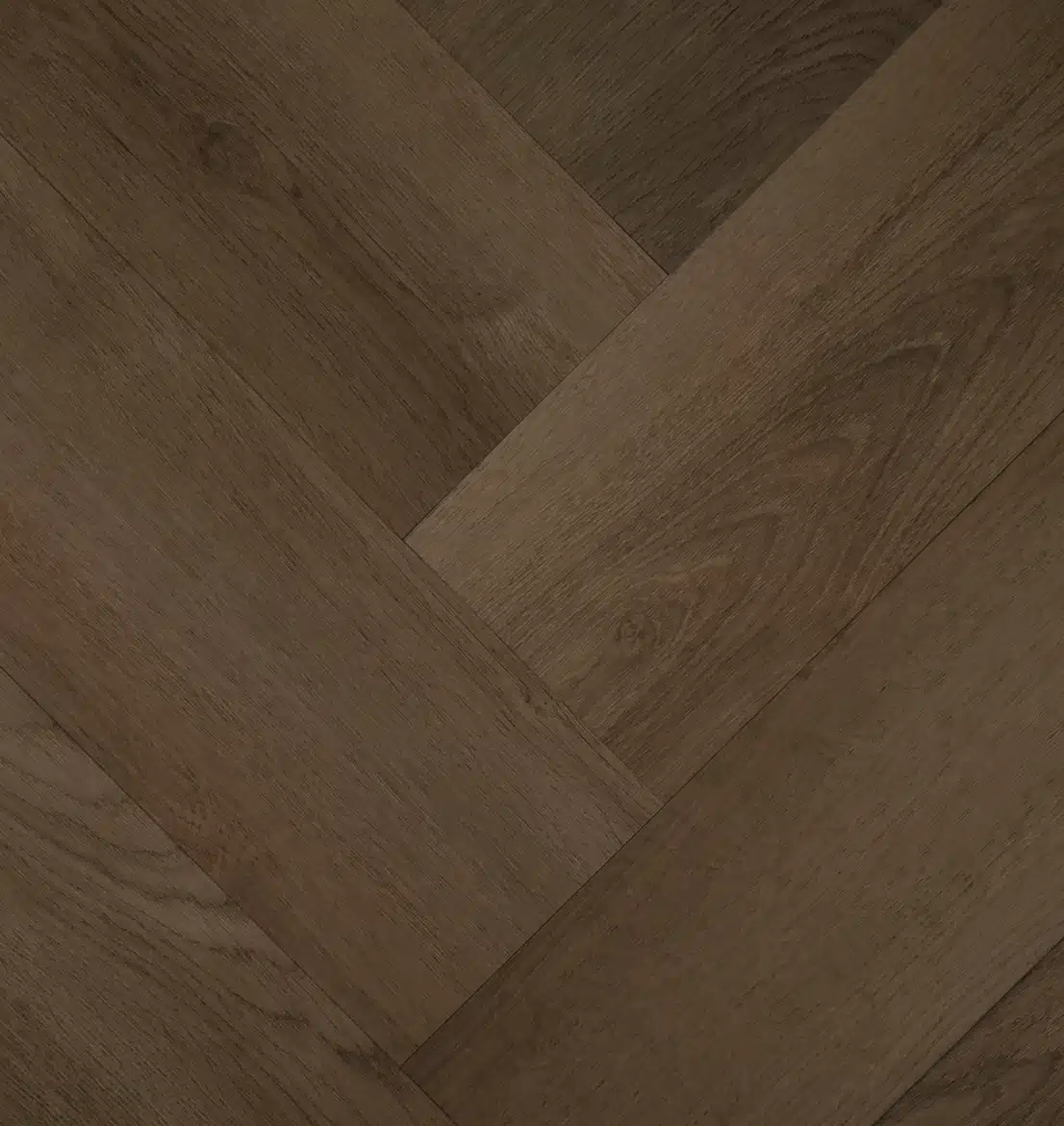 Clermont Visgraat 77827