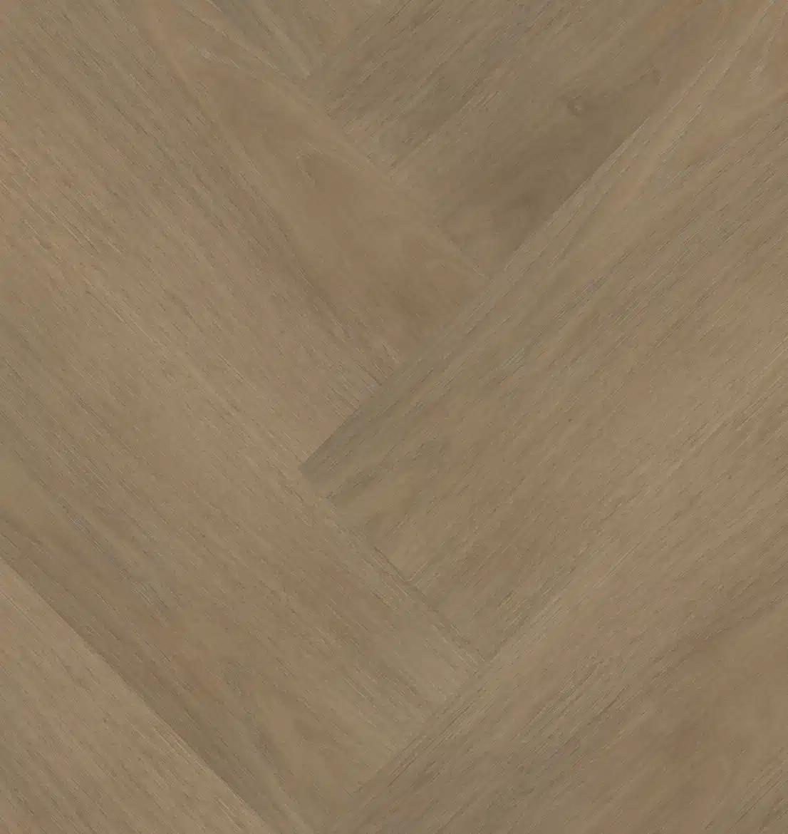 Chapelle Visgraat XL 77841