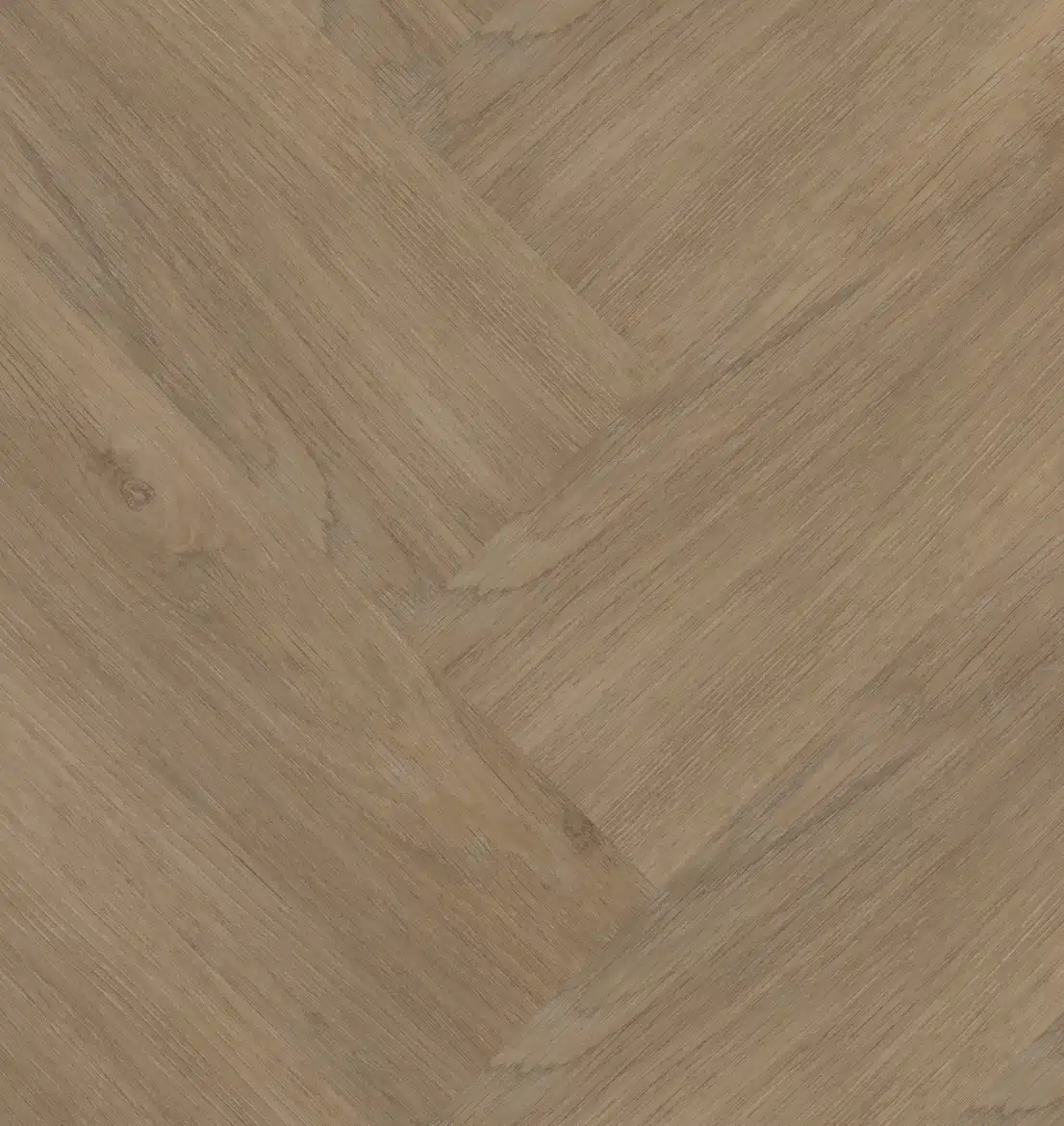 Chapelle Visgraat XL 77842