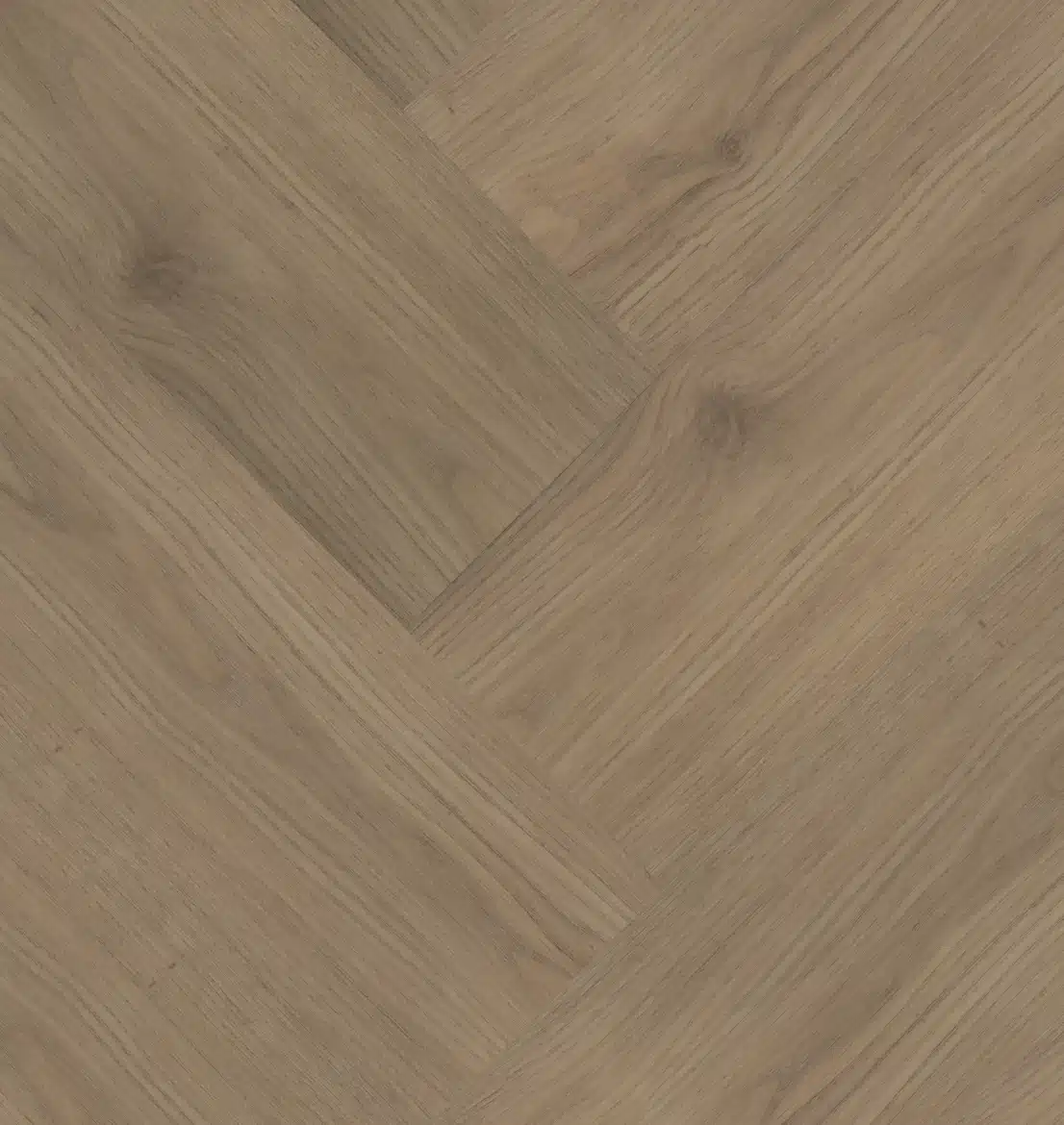 Chapelle Visgraat XL 77843