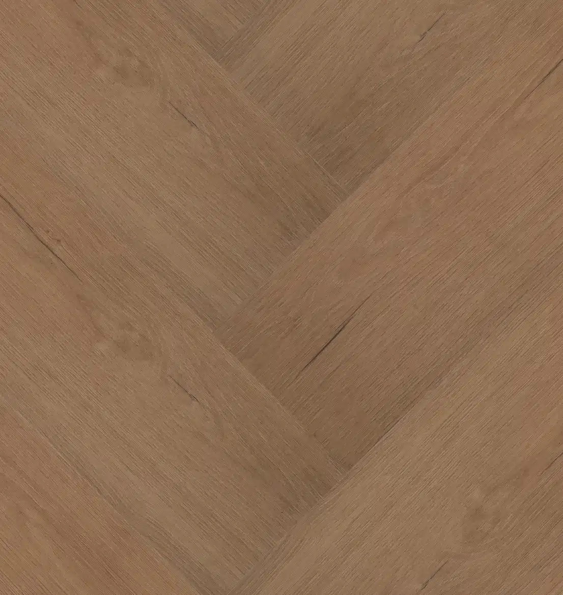 Château Visgraat XL 77851