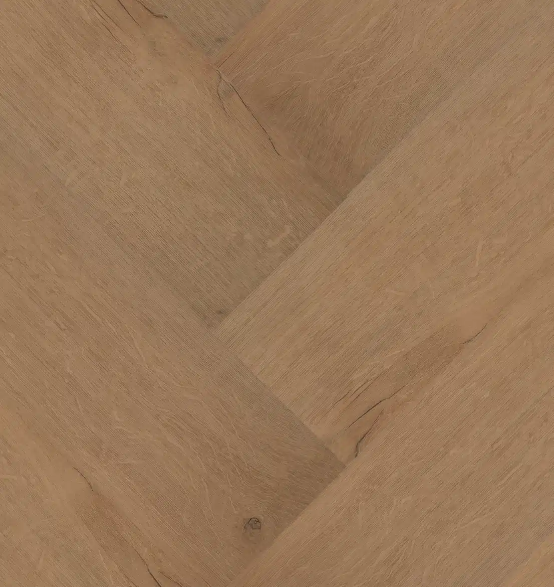 Château Visgraat XL 77852