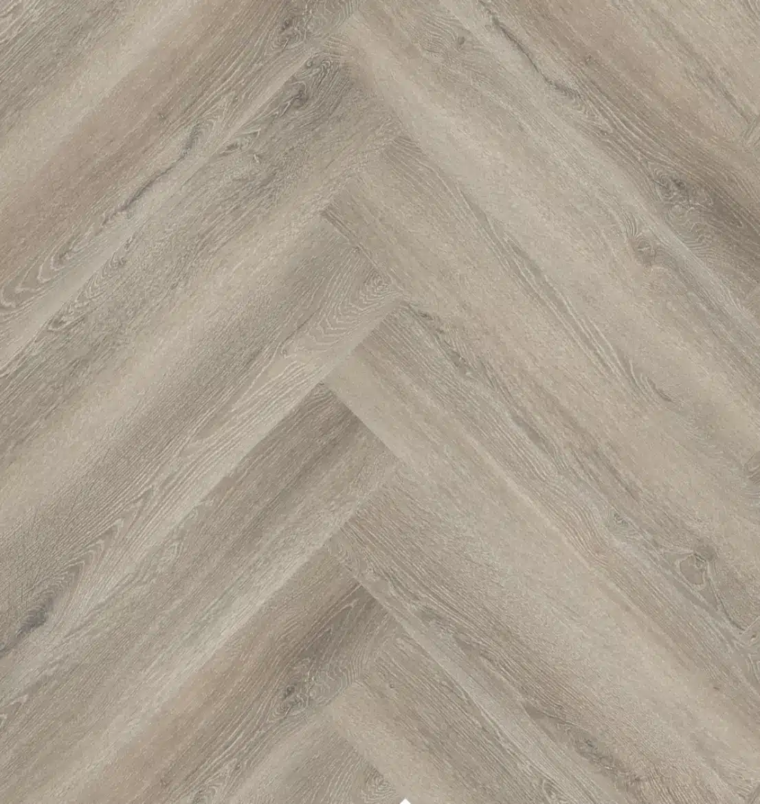 Progress Visgraat XL 77818